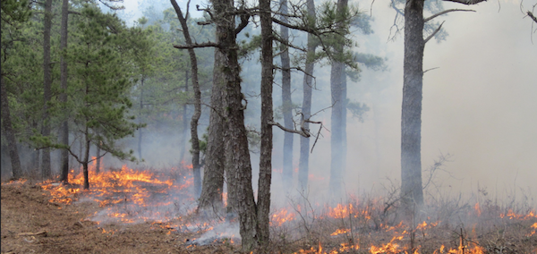 Wildfire risk reduction meeting