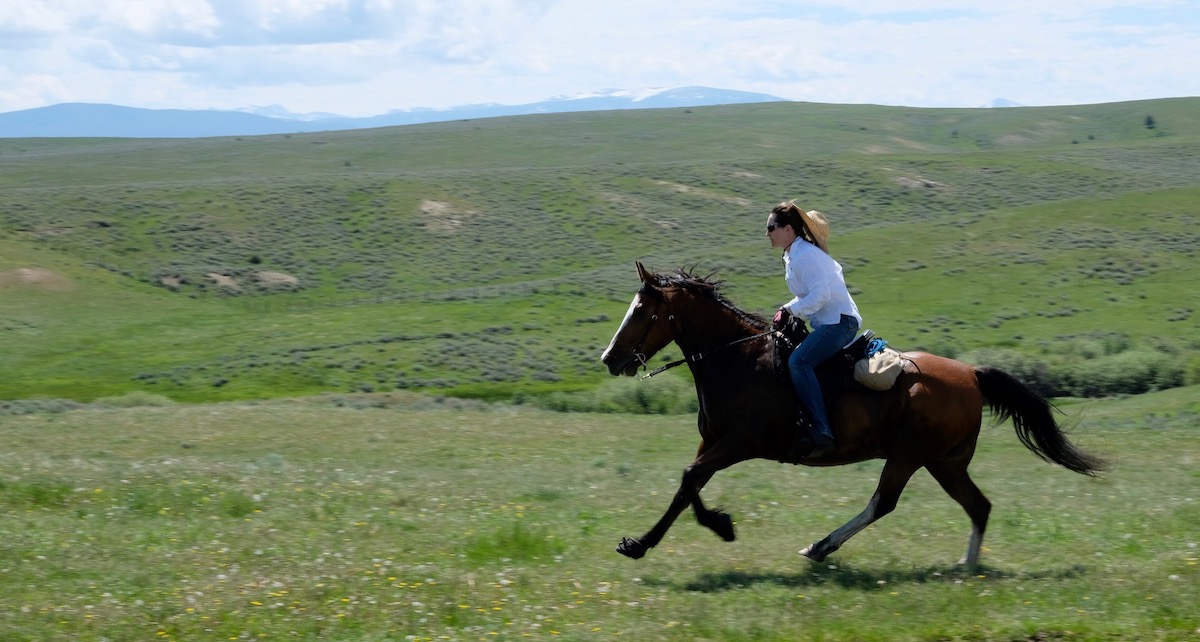 Poker ride pictures and thank you! | Welcome to Pony Montana